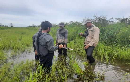 Program Konservasi Lahan Gambut PT SYK Untuk Atasi Perubahan Iklim