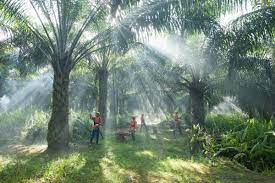 Tingkatkan Nilai Tambah, Kemenperin Dorong Hilirisasi Produk Hasil Hutan