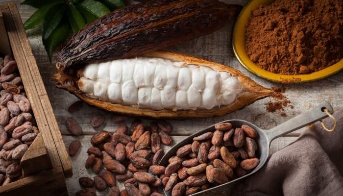 Kemenperin Siapkan SDM Untuk Dukung Hilirisasi Industri Kakao dan Rumput Laut