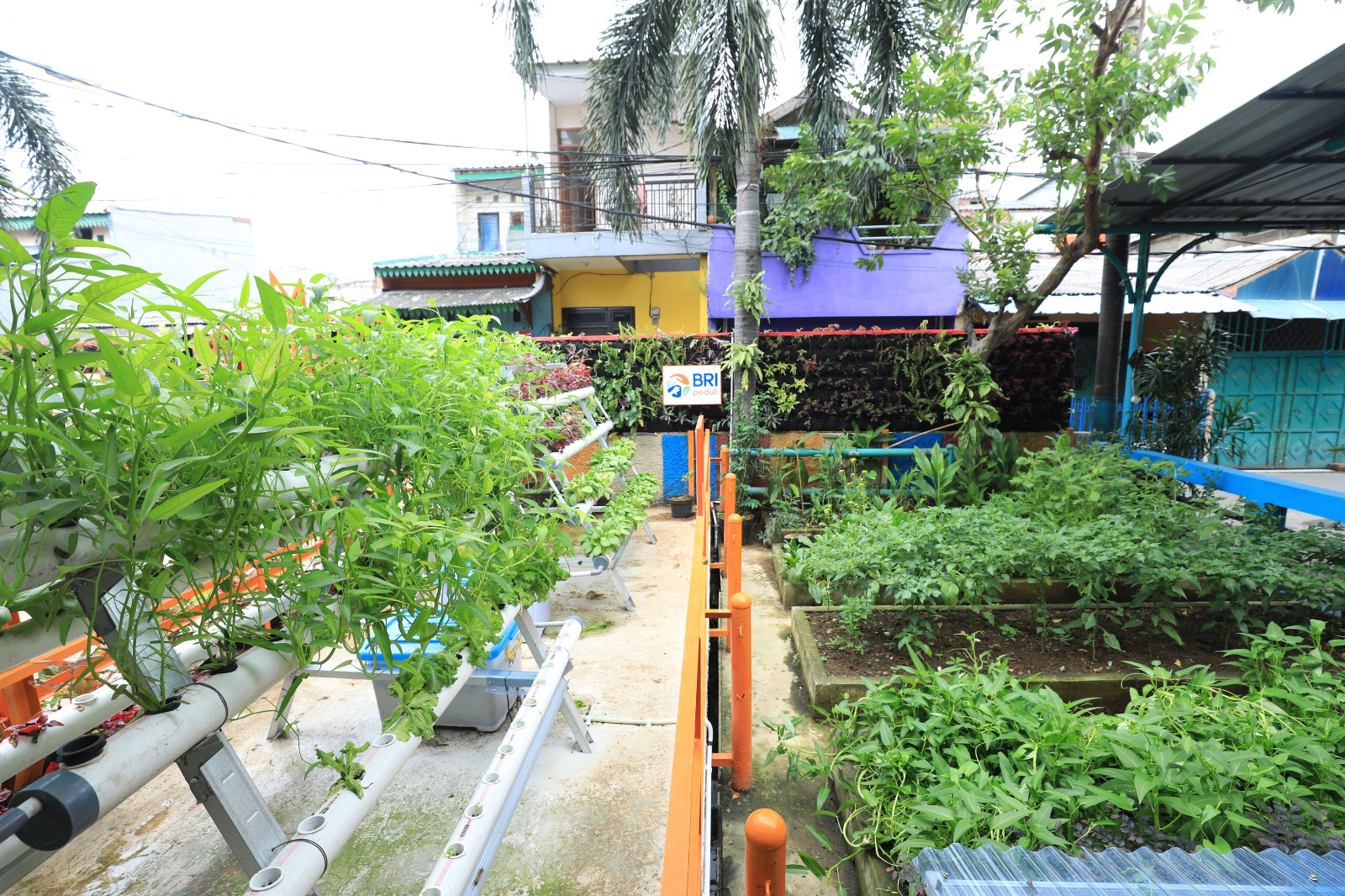 Susuri Kampung Palm Eco Green Village Malang, Makin Asri Berkat Program BRInita