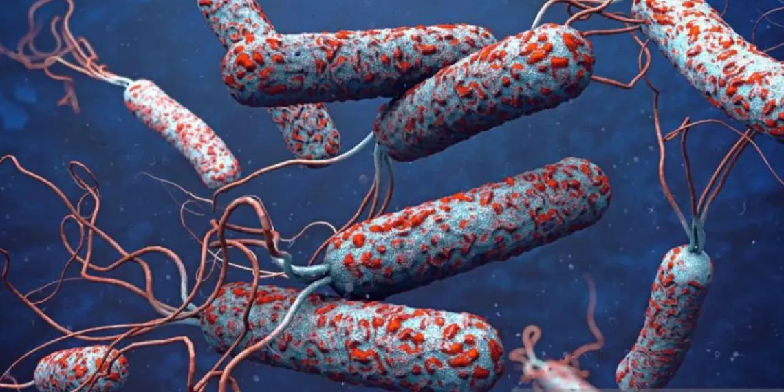 WHO Ungkap Wabah Kolera Terkait Erat dengan Perubahan Iklim