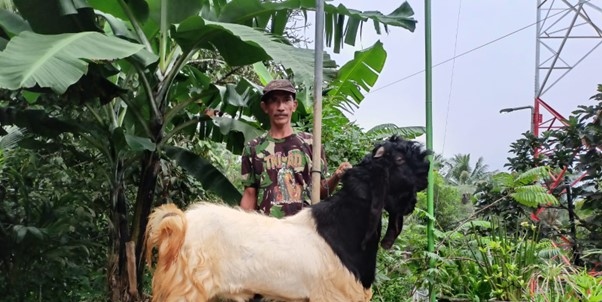 Tri Mandiri Farm Sukses Majukan Usaha Berkat Pemberdayaan BRI (BBRI)