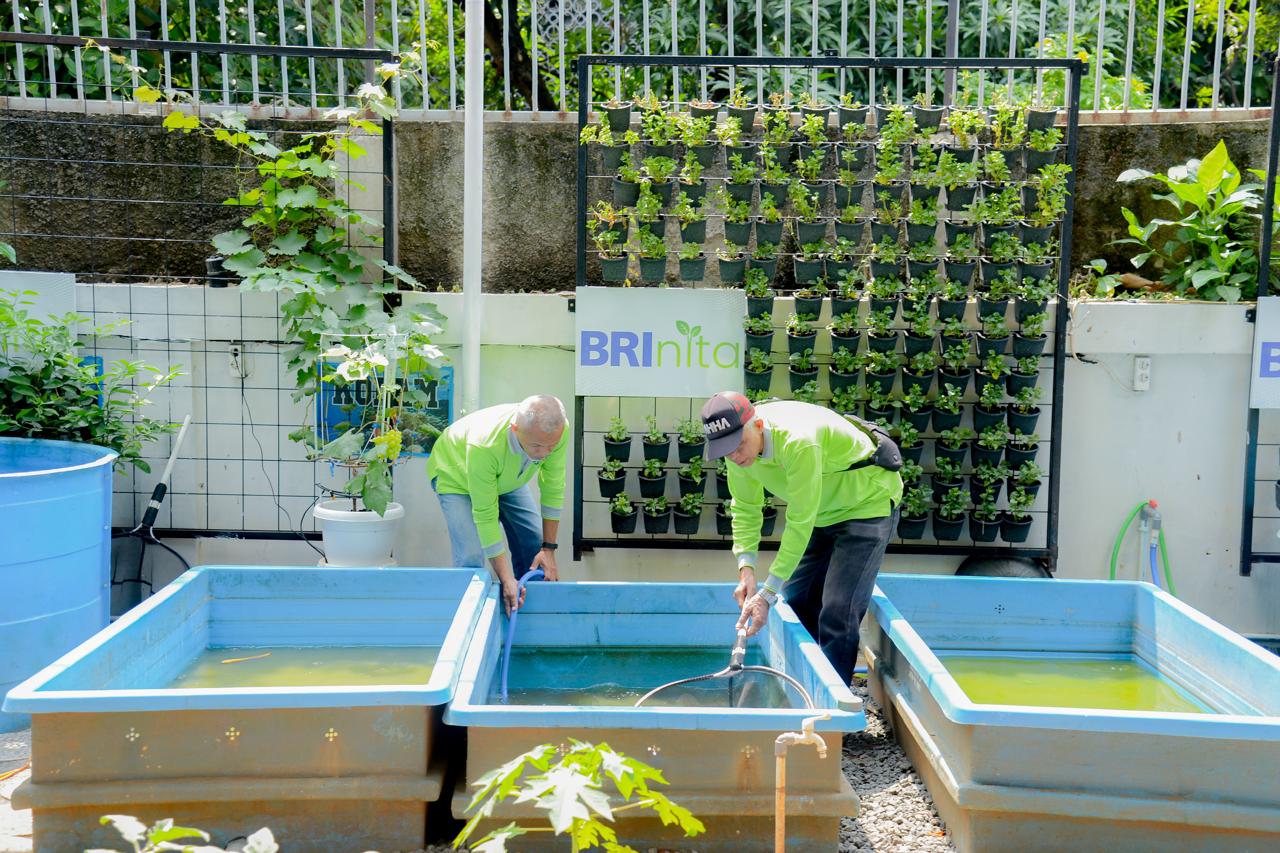 Didukung BRINita, Poktan Ini Sulap Lahan Terbengkalai Jadi Produktif