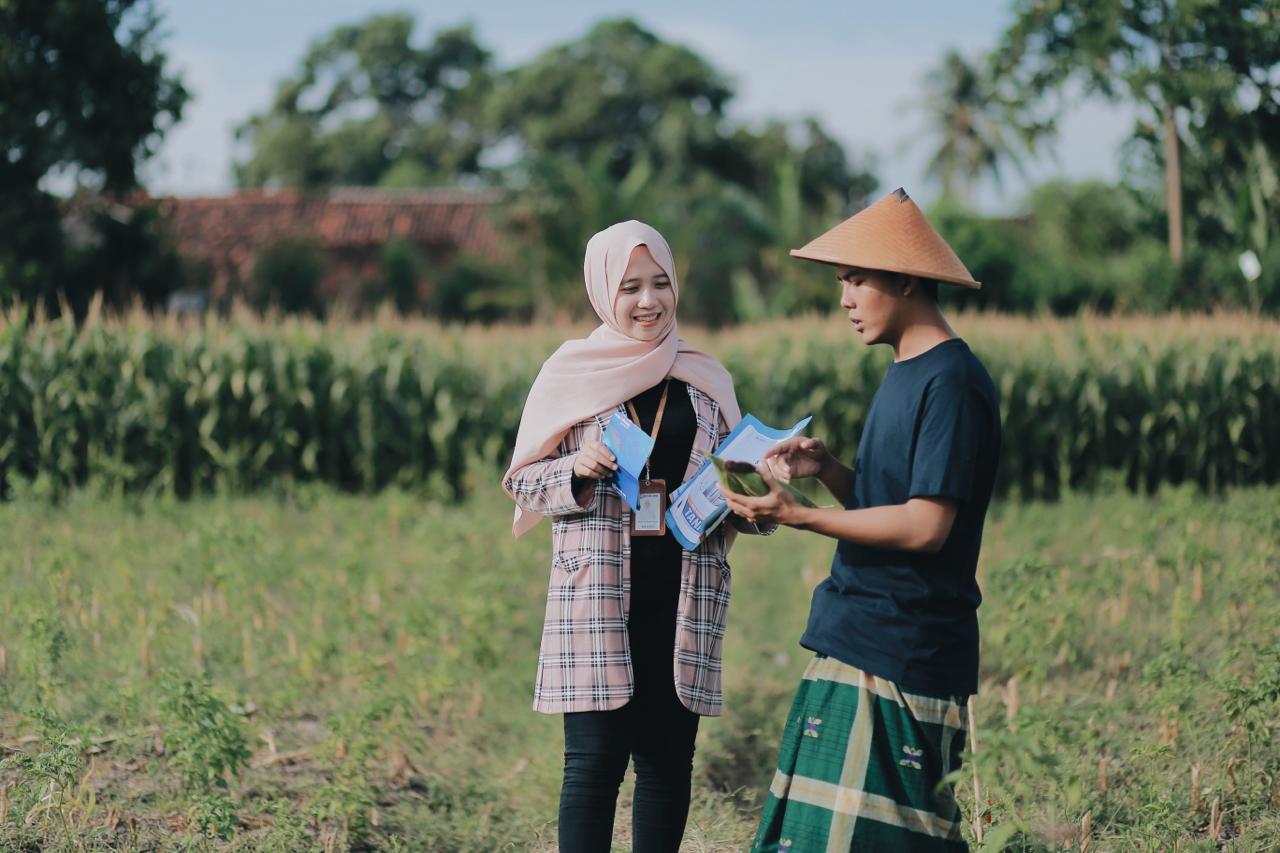 2,6 juta UMKM dapat Akses Pembiayaan KUR BRI, Capai Rp126,12 Triliun