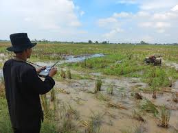 Berhasil Tahan Laju Konversi Lahan Pertanian, KTNA Puji Pemerintah