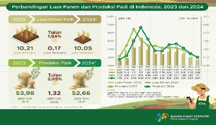 Waduh! Luas Panen dan Produksi Padi 2024 Diperkirakan Turun