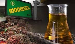 Intensifikasi Sawit Digenjot untuk Penuhi Bahan Baku Biodiesel