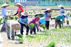 Penghapusan Piutang Macet UMKM, Diyakini Jangkau 600 Ribu Petani