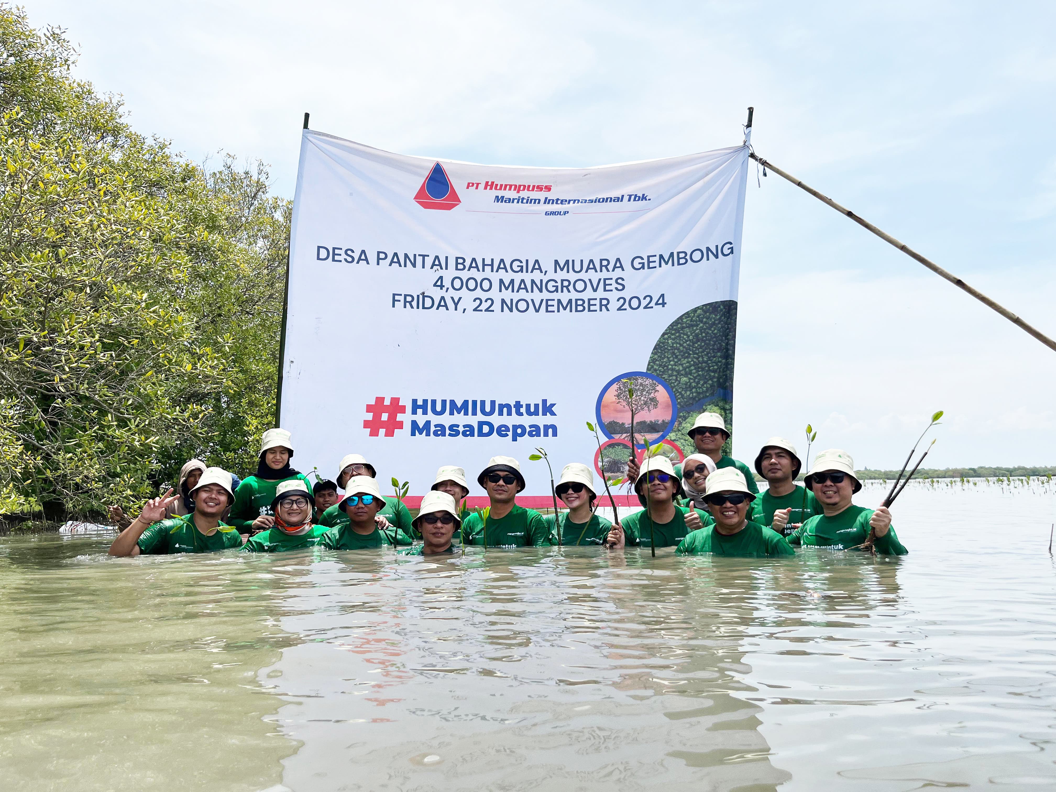 Mitigasi Perubahan Iklim, HUMI Tanam 4 Ribu Bibit Mangrove