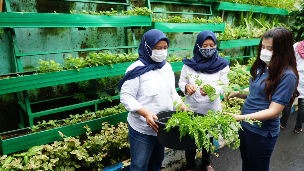 Kelompok Wanita Tani KBA Karina Ajak Masyarakat Hidup Sehat dengan Urban Farming