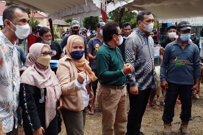 Jelang Ramadan, Kementan Dukung Upaya BBPP Genjot Produktivitas Ternak di Kalimantan