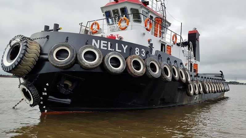 NELY Pelayaran Nelly (NELY) Salurkan Sisa Dividen Rp10 per Lembar, Telisik Tanggal Cairnya