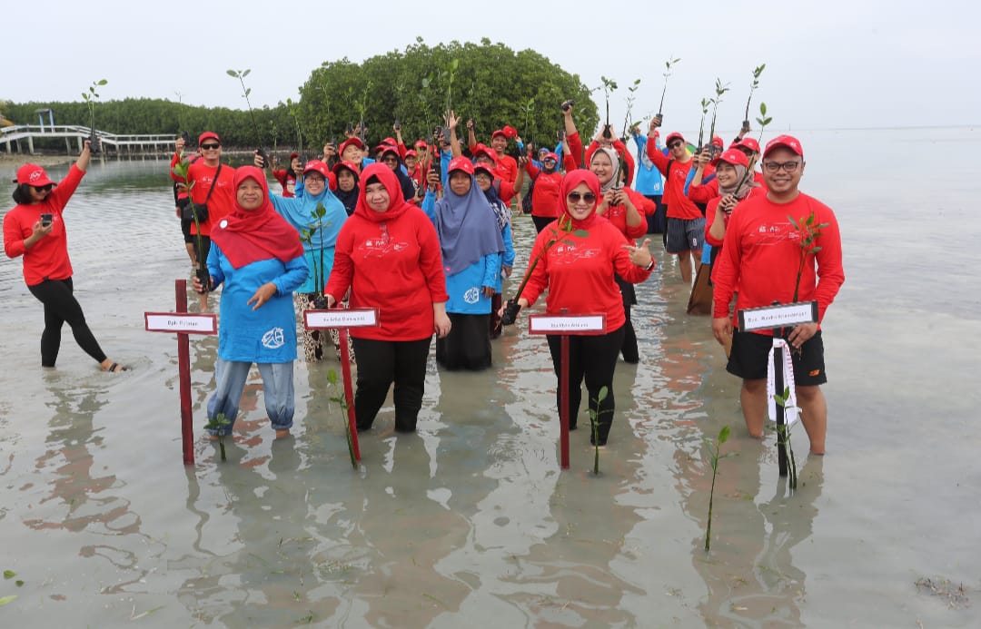 Generali Rilis Program Sustainability Plan & Plant, Donasi Mangrove Setiap Pembelian Polis