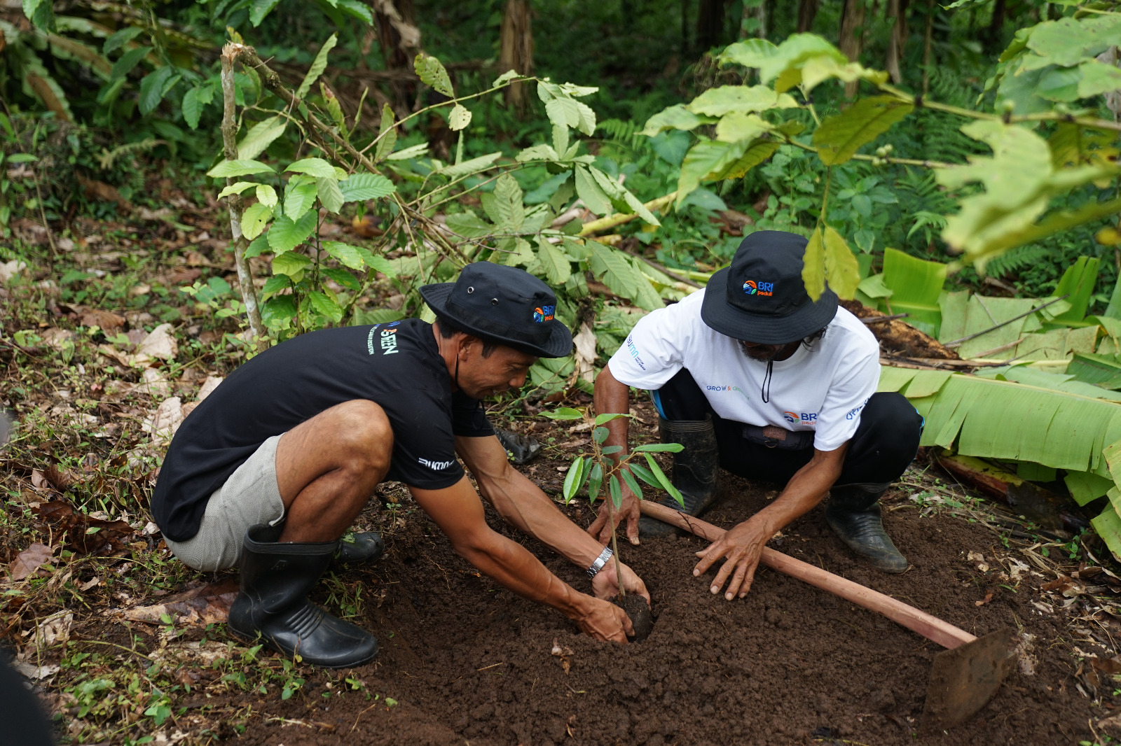 Tanam Pohon Produktif di Lahan Kritis, BRI Grow & Green Berdayakan 2 Kelompok Tani di Bali