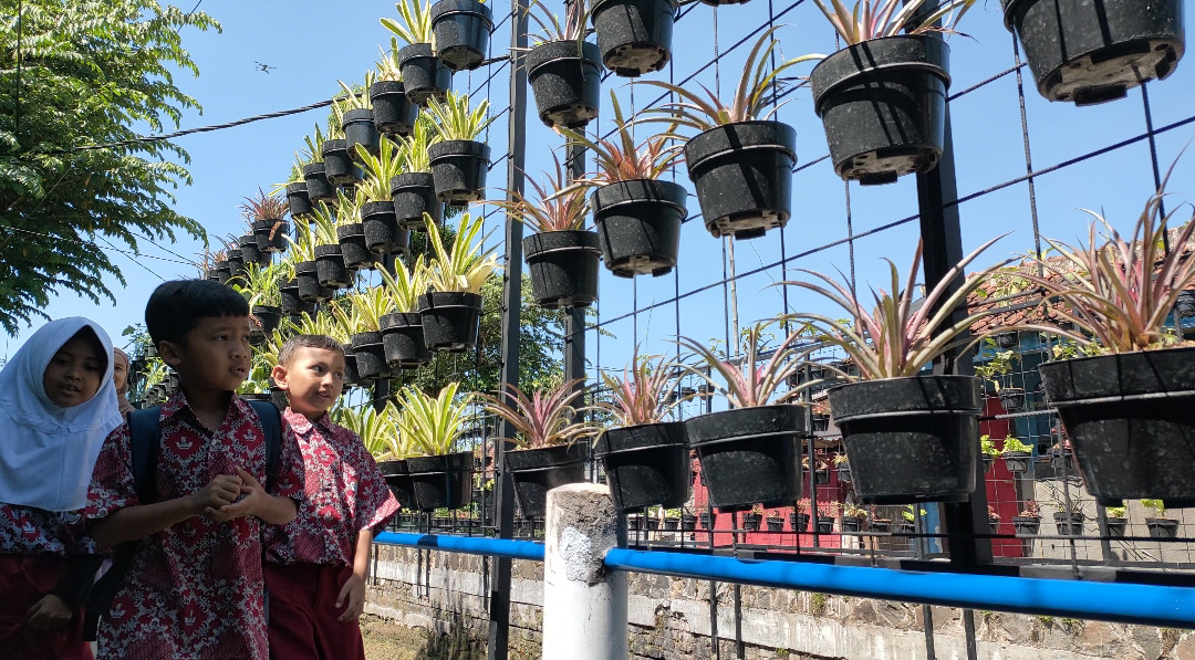 BRInita dan Sukses Percontohan Urban Farming di Bandung