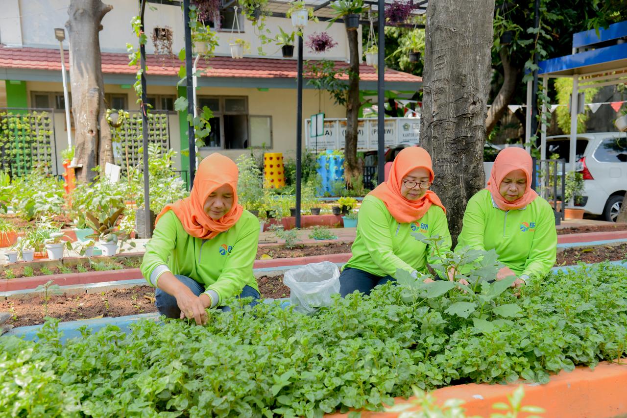 Didukung BRINita, Poktan Ini Sulap Lahan Terbengkalai Jadi Produktif