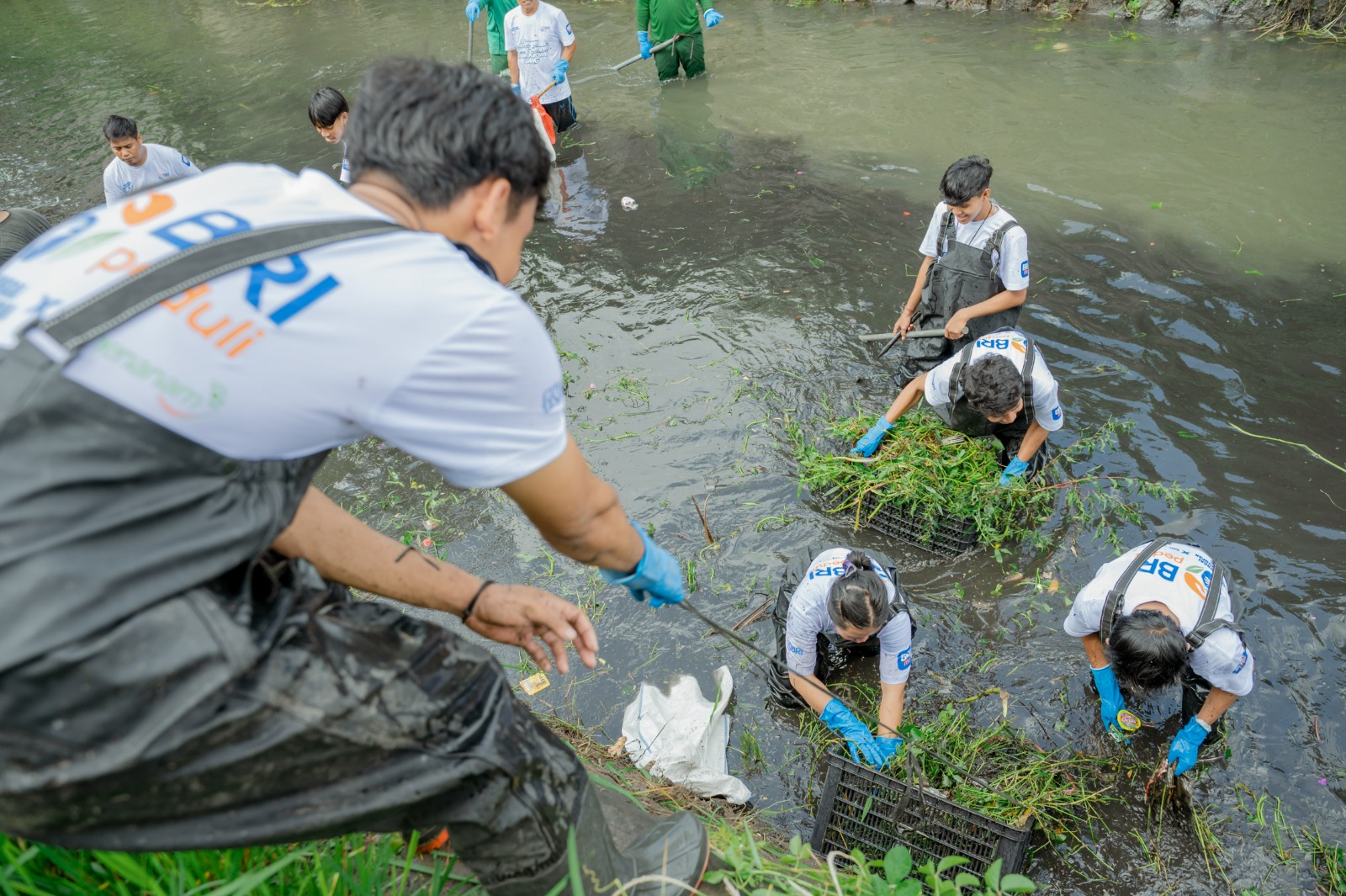 BRI Peduli Jaga Sungai Jaga Kehidupan, Hijaukan Lingkungan Sekitar 