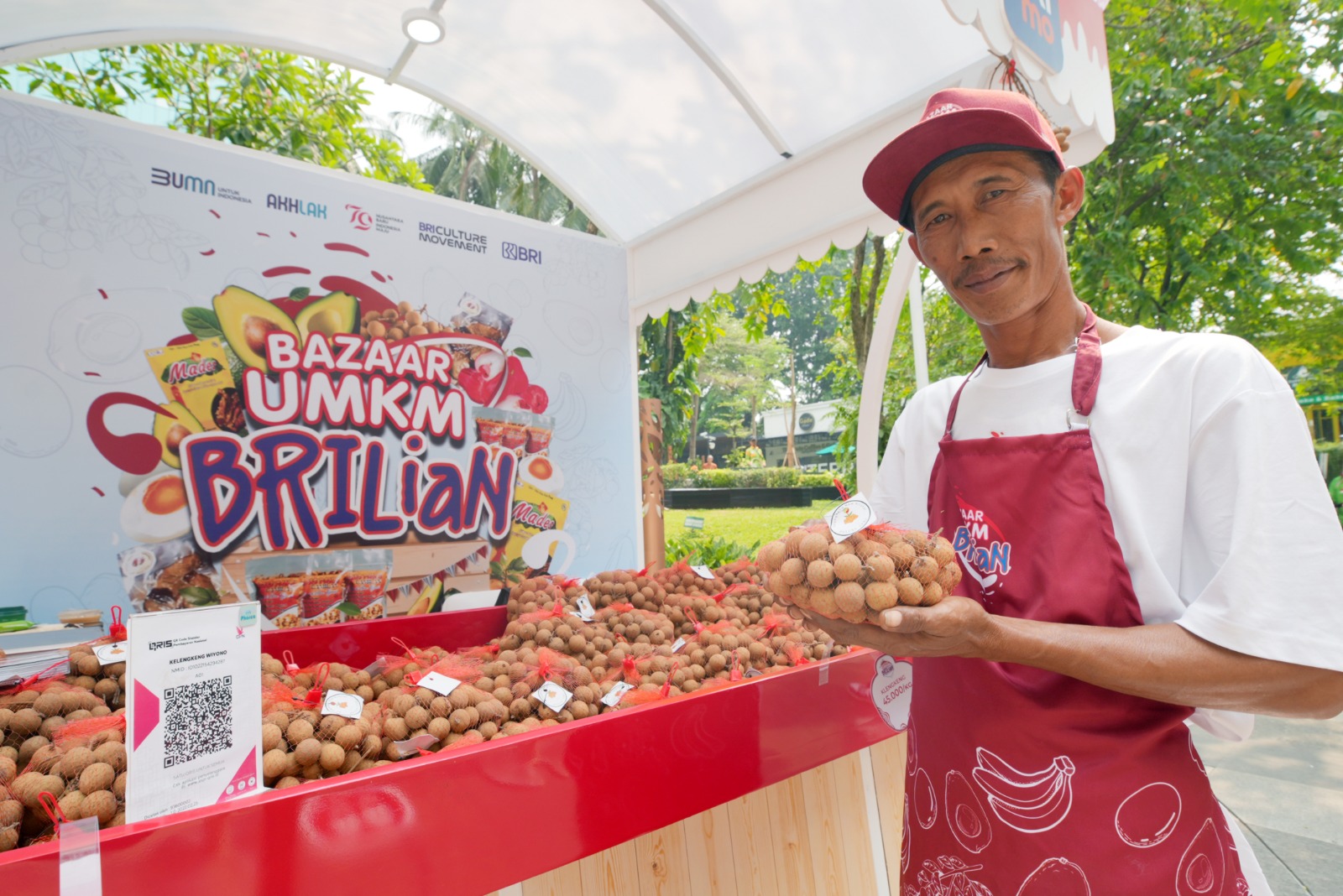 Klaster Kelengkeng di Tuban Makin Bersinar Berkat Pemberdayaan BRI